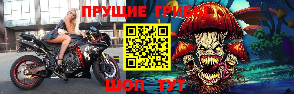 Тара  Псилоцибиновые грибы ЛСД  Вход с VPN  Галлюциногенные грибы GOLDEN TEACHER 